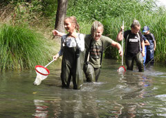 Kinder keschern im Fluss Lutter in Königslutter Gewässeruntersuchung