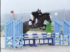 Vénus Pearl, CCJP 4 ans C, 24/03/13, Maisons-Laffitte.