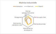 Diagnostic de maturité industrielle