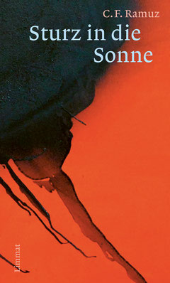 Das Bild zeigt das Cover von "Sturz in die Sonne".