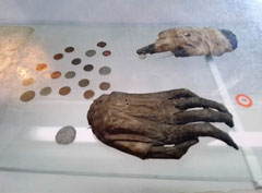 Mummified hands severed as punishment in 16th century Riga and forged coins on display in the Museum of Riga's History and Navigation