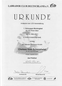 Ergebnisurkunde des Schnupperworkingtests der LCD Regionalgruppe Rhein-Main