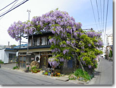 梅重　畑中造園　有限会社　