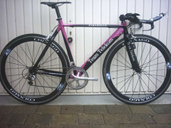 Pinarello (Team Telecom)