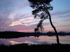 Abendstimmung am Wollingster See