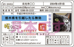 会員証見本
