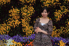 Flower Park 2011