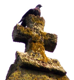 Arrest- Croix faîtière