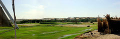 www.felouques-egypte.jimdo.com