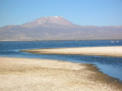 Laguna de Parinacocha