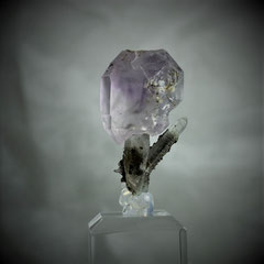 Scepter Amethyst Saurüssel Ziller valley Tirol Austria