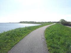 Der Westfriese Omringdijk führt direkt am Ferienpark Her Grootslag vorbei.