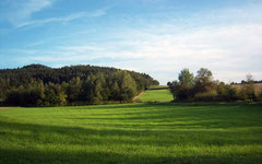 Schorndorf im Landkreis Cham