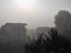 Sonnenstrahlen lösen Nebel auf