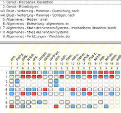 Repertorisation