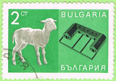 Bulgaria 1967 - Sheep