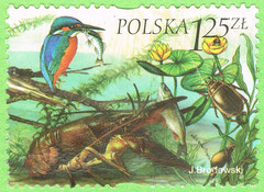 PL - 2004 - fauna i flora