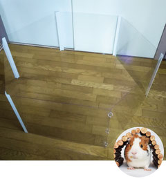 モルモット サークル ハリネズミ サークル ハリネズミ 部屋 ん ぽ サークル モルモット サークル 手作り モルモット 部屋 ん ぽ サークル