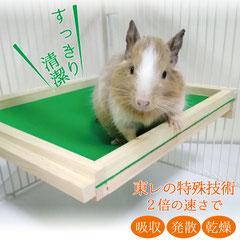 デグー・フクロモモンガ・シマリス おしっこ対策ステージイメージ
