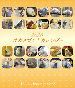 2020年 オカメインコ卓上カレンダー オカメインコ カレンダー