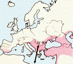 www.ittiofauna.org