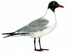 http://www.latvijasdaba.lv/