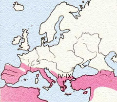 www.ittiofauna.org