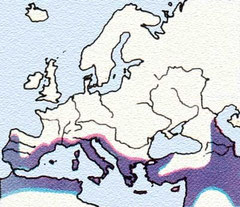 www.ittiofauna.org