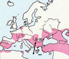 www.ittiofauna.org