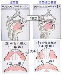 図９　摩擦音の舌の構え