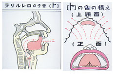 図１２　鼻音の舌の構え