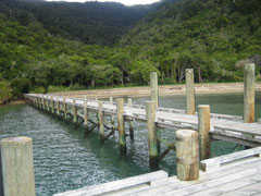 Pier of Ship Coves / Queen Charlotte Track