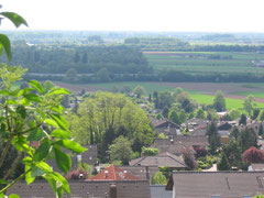 Blick von der Bergstraße ins Ried.