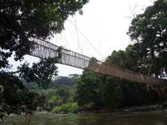 Gabon: pont de liane a Poubara