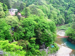 湯の平温泉