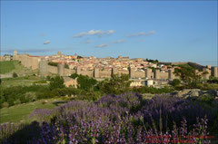 Ávila, Panorama mit Stadtmauer