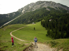 Blick vom Fadensattel zum Schneeberg