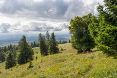 Unesco Weltnaturerbe Bettlachstock