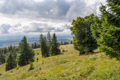Unesco Weltnaturerbe Bettlachstock