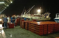Le débarquement de la pêche sur les quais de Boulogne