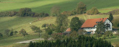 Wunderbarer Schwarzwald