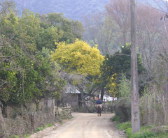 Imagen antigua del sector Plazuela, actualmente el camino se encuentra asfaltado 