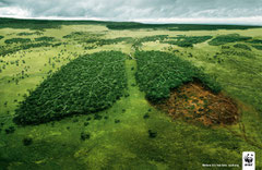 Imagen de WWF