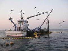 大型定置網船 第十一江の島丸 釣り教室は江ノ島 フィッシャーマンズ プロジェクト 大型定置網船 第十一江の島丸 釣り教室は江ノ島 フィッシャーマンズ プロジェクト