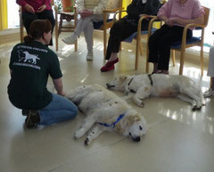 Tiertherapie im Eschweger Hospital St.Elisabeth (Foto: H.G.)