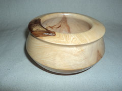 Enclosed Cypress Form