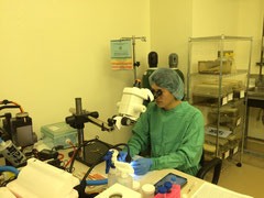 （写真１）動物実験室での手術