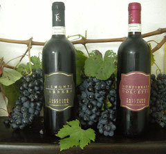 barbera e dolcetto