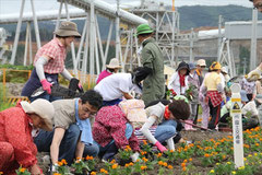 フラワーロードで花の植え込みをされるボランティアの皆さん