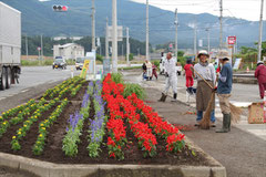 フラワーロード陸前高田にて苗の植付け完了